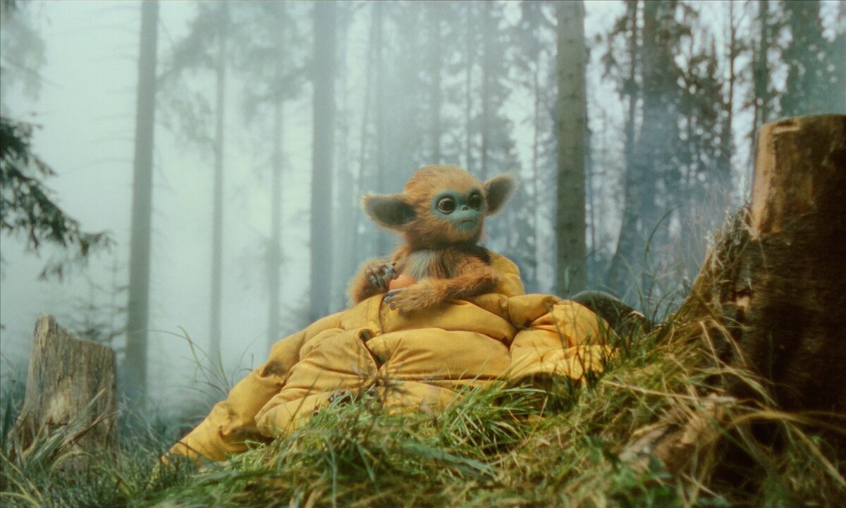 кадр из фильма