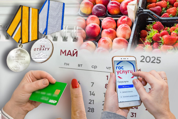    Коллаж Андрея Заржецкого