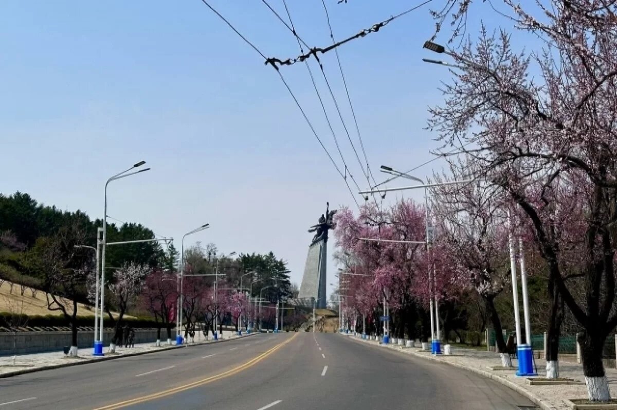    В Пхеньяне появится памятник участникам операции в Курской области из КНДР