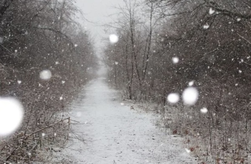 Непредсказуемая погода.