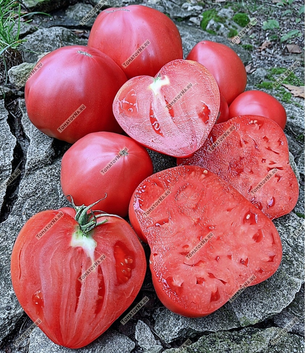 Не Вишнёвый от Зузи. Фото из нашего каталога https://tomatovna.ru/beef-tomato/tproduct/658074834312-tomat-vishnyovii-ot-zuzi