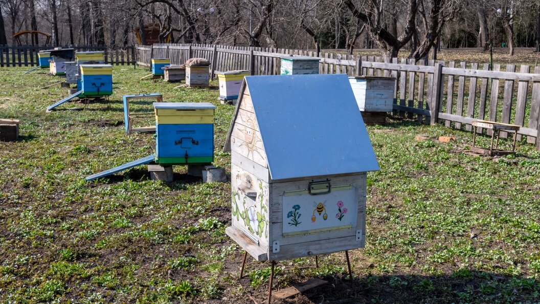    Фото: Komsomolskaya Pravda/Globallookpress