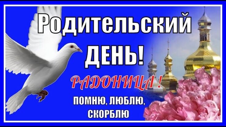 Картинка из свободного доступа в интернете