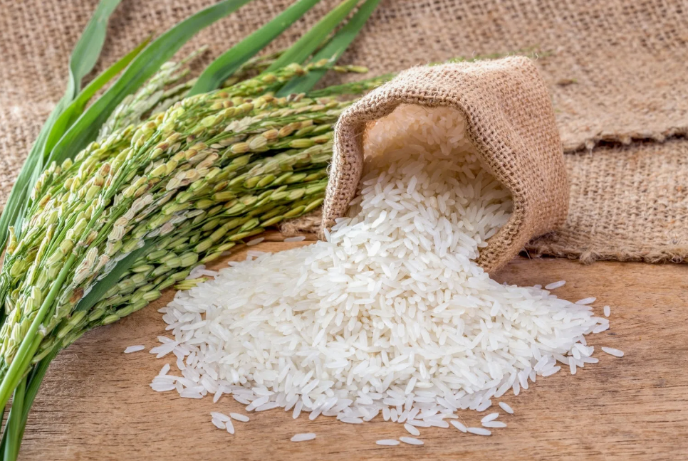 Рис. Источник фото kmvl23.ru