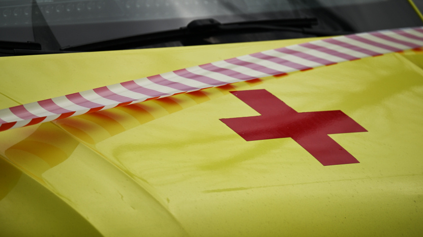    Фото: © РИА Новости/Пелагия Тихонова