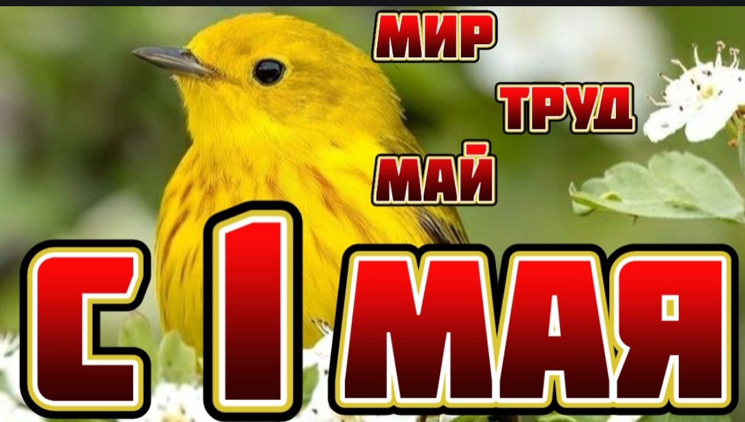 Картинка сделана автором