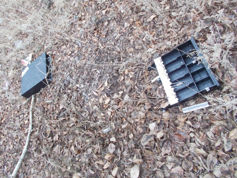    Фото: управление МВД РФ по Амурской области