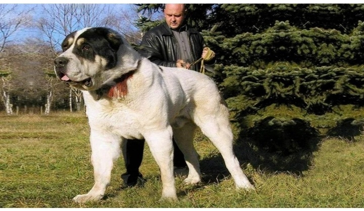 Хозяин держи меня крепче...