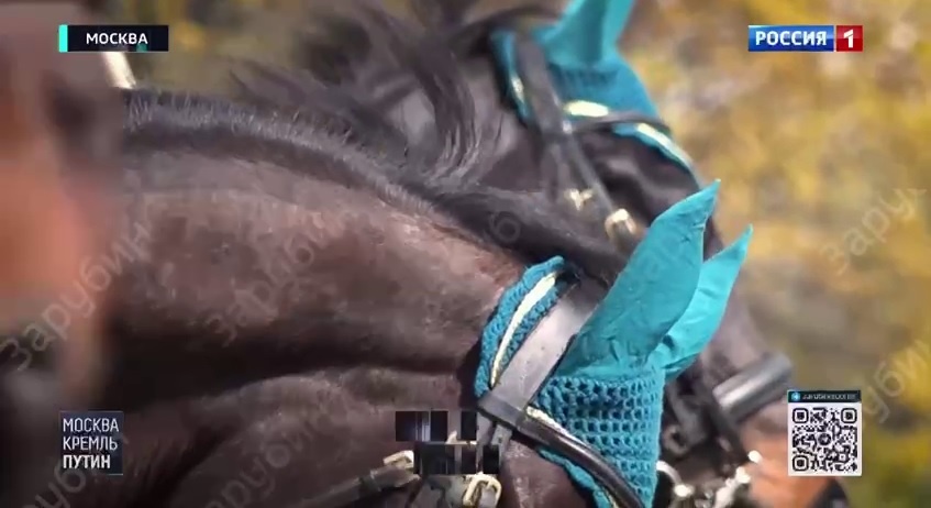    Скриншот видео с Telegram-канала "ЗАРУБИН"