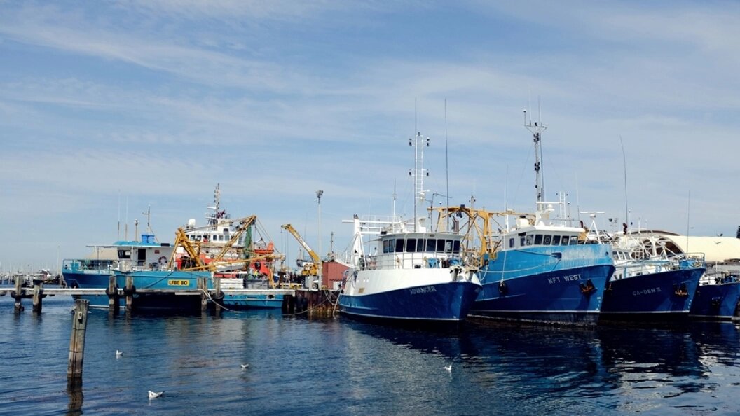    Фото: Коллаж Царьграда