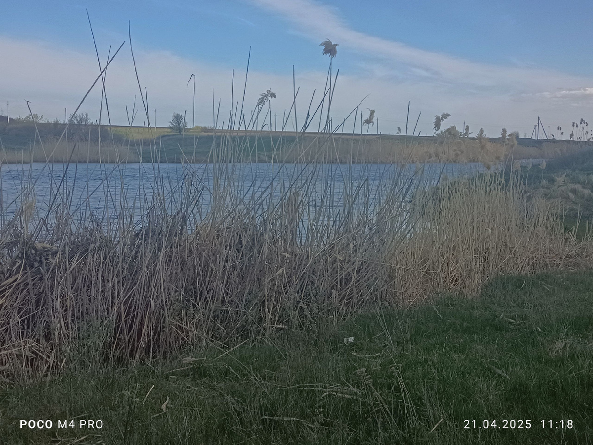 за окном у нас теперь скучно, но зато Диана сфоткала местный пруд :)