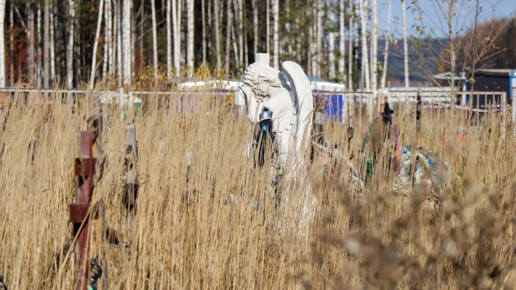    Фото: Elena Mayorova/Global Look Press