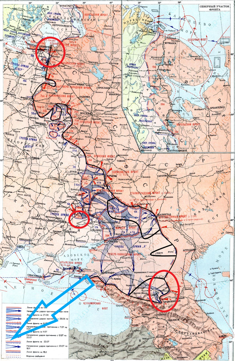 (Фото взято из открытых источников).