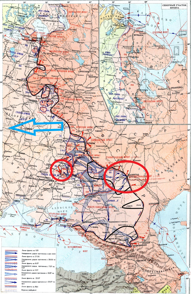 (Фото взято из открытых источников).