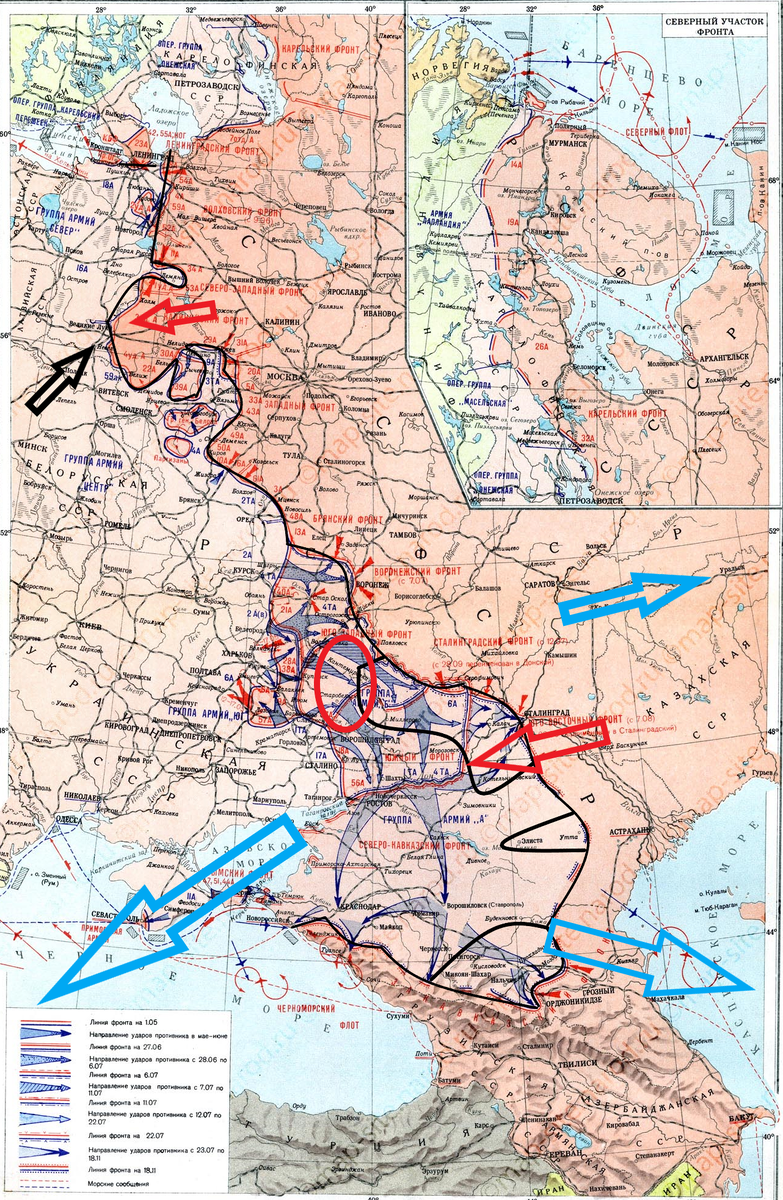 (Фото взято из открытых источников).