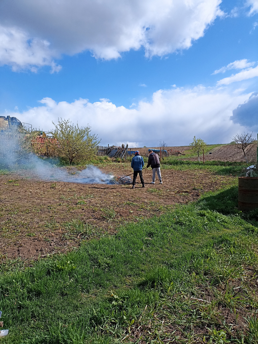 Дети подросли- помогают. 