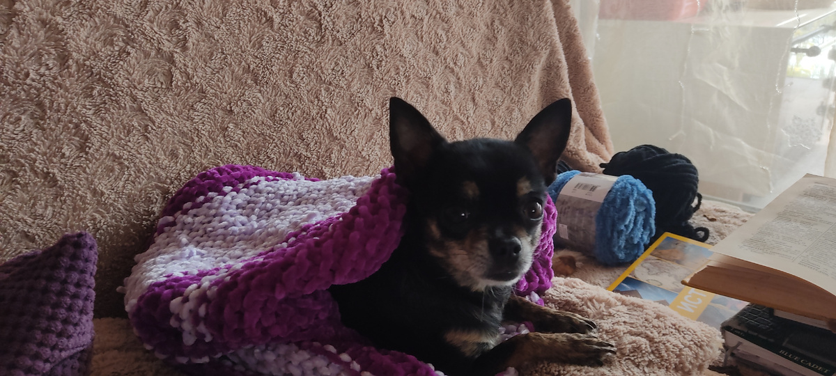 Тосечка замерзла