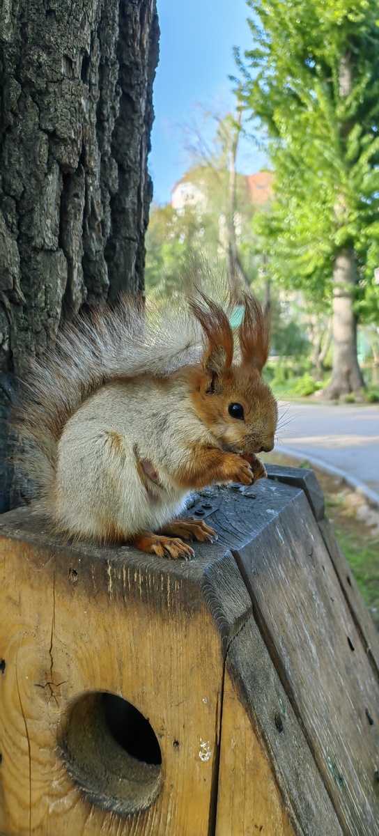 Фундук 🌰 любят очень
