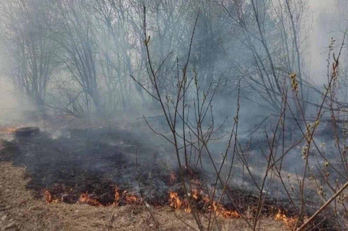    Кадр с пала травы в Ачинске.