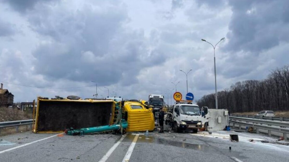     Источник: prim_police