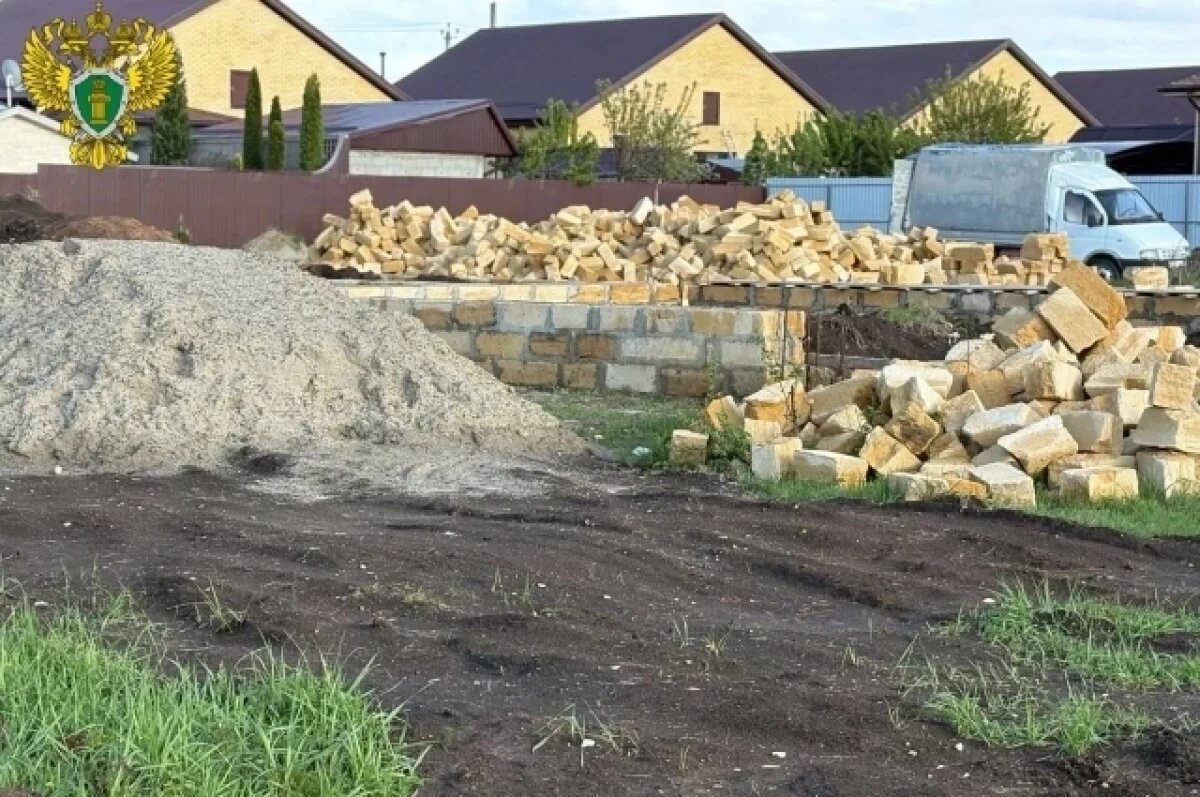    Прокуратура проверяет нападение питбуля на 10-летнего мальчика в Ставрополе