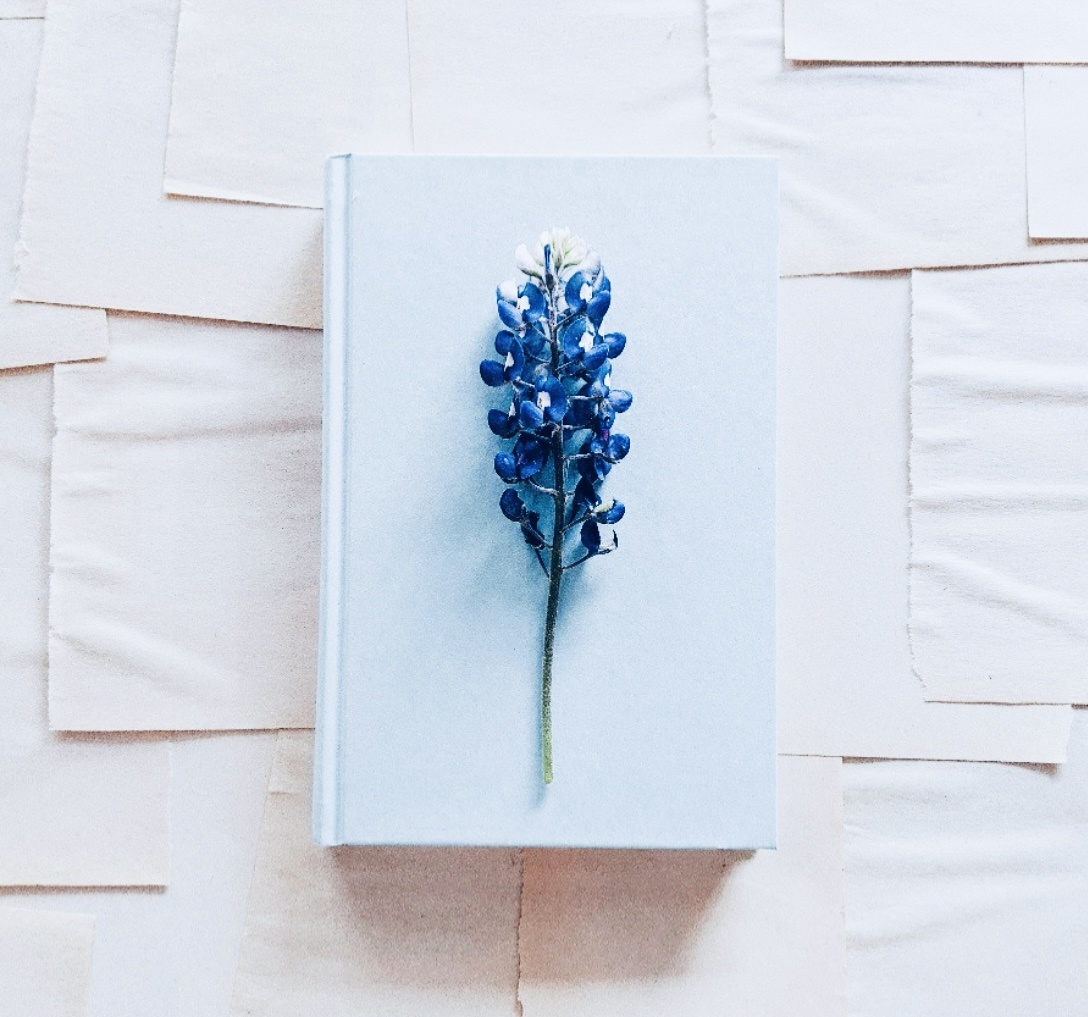 «Меланхолия, уныние, застенчивость, эгоизм – вот жестокая расплата за высшие умственные дарования» (Чезаре Ломброзо).