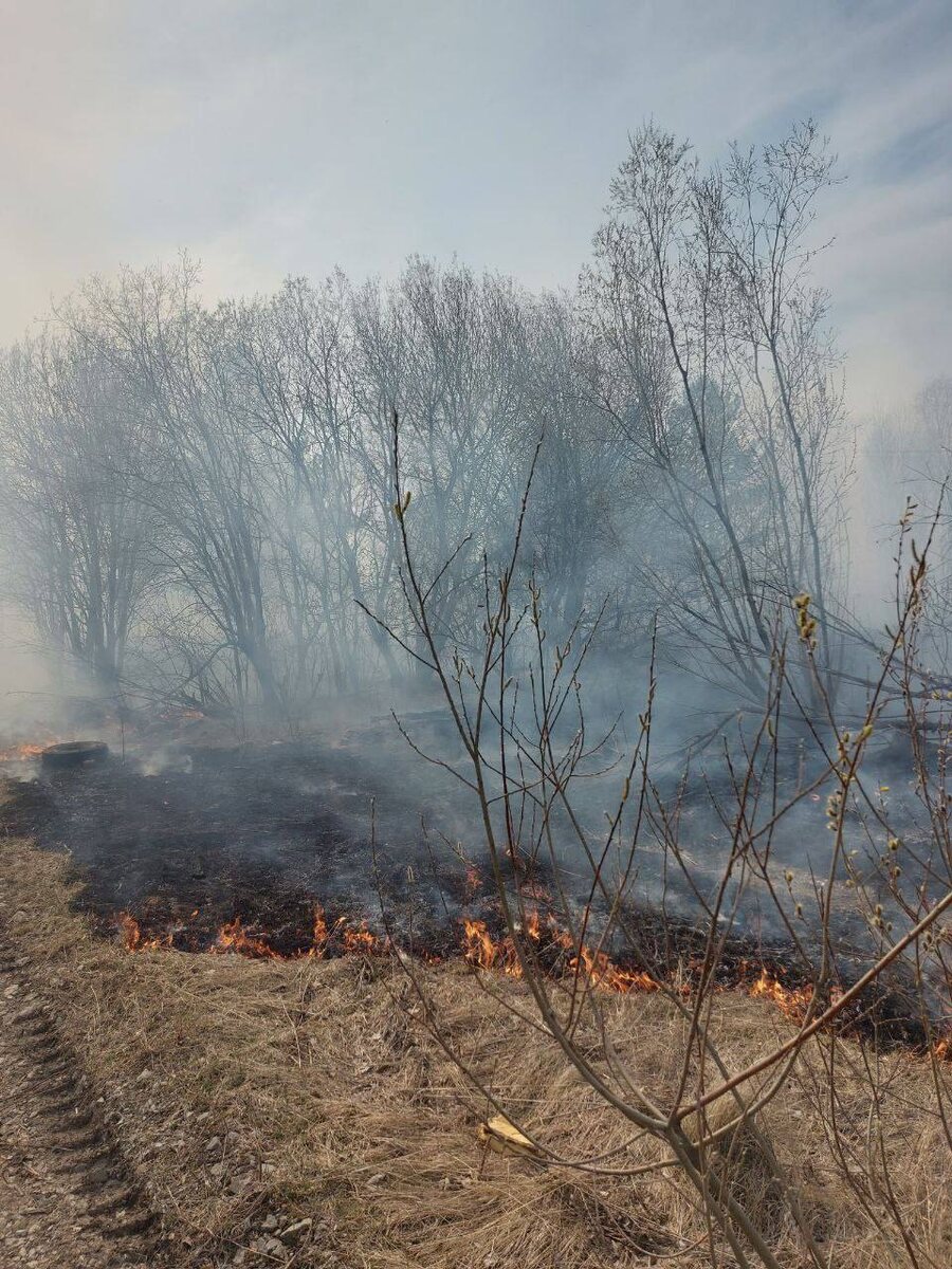     В Ачинске задержали двух местных жителей, устроивших пал сухой травы