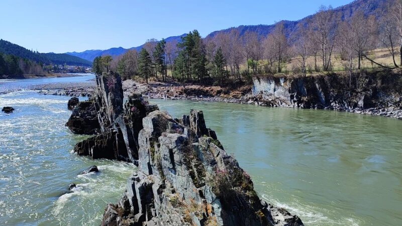     Скалы "Зубы дракона". Инна Целовальникова, @altaifloratour