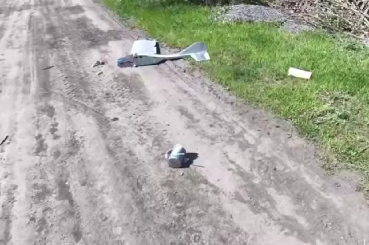    «Купол Донбасса» за неделю сорвал в ДНР 258 атак украинских БПЛА