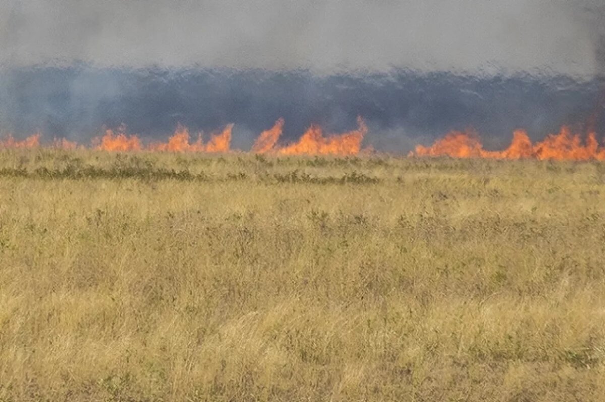    Фото носит иллюстративный характер