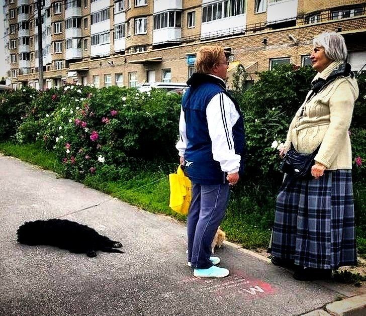 Фото с просторов всемирной паутины.