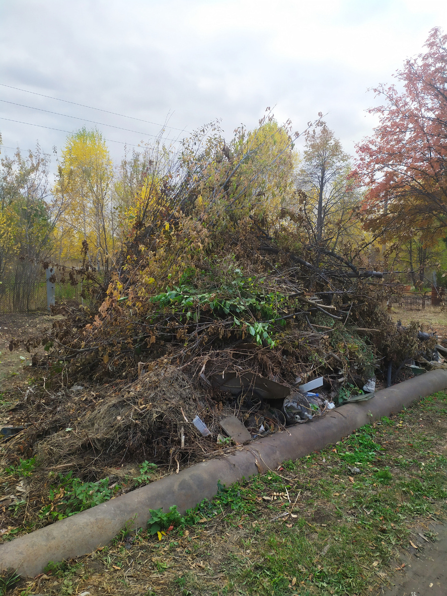 Вот так тут было. И то, это не самое начало. Уже получше. Раньше вокруг этого всего были дебри.