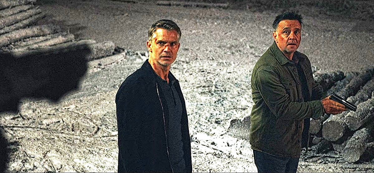 "- Откуда дровишки? Из лесу, вестимо!"© Цитата из другого боевика