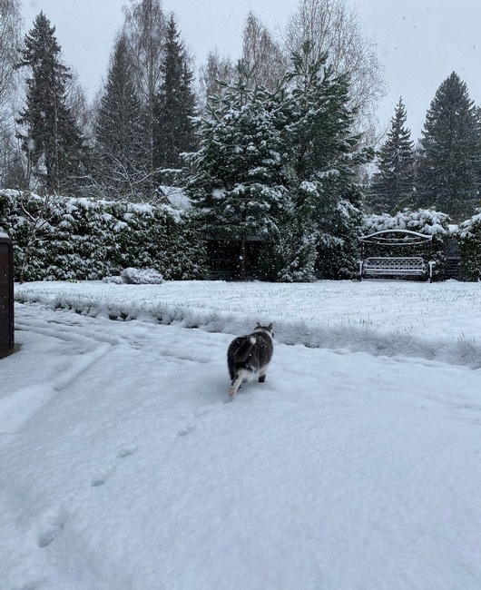  Фото: Елизавета Четверикова