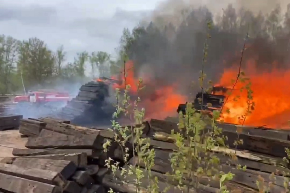    Площадь составила 1000 квадратных метров