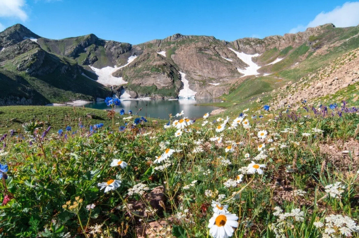 Фото из интернета 