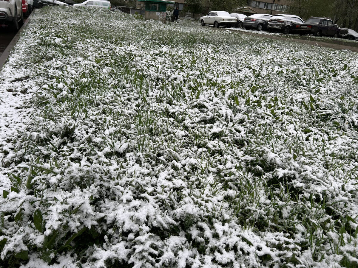    архив samaraonline24