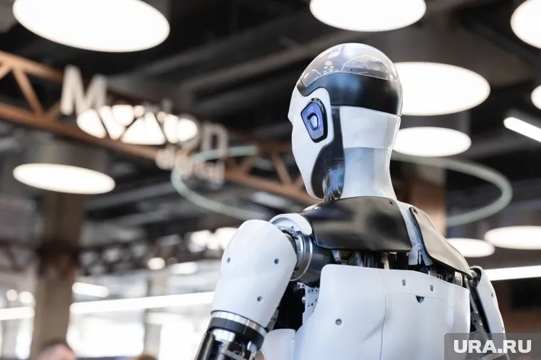 Лояльнее всего к ИИ относятся тюменские управленцы и юристы
Фото: Руслан Яроцкий © URA.RU