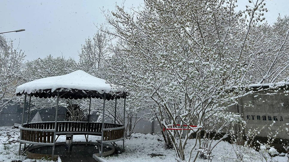 Фото: Евгений Щепелев, Коммерсантъ