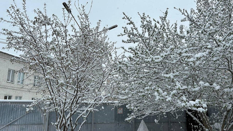 Фото: Евгений Щепелев, Коммерсантъ