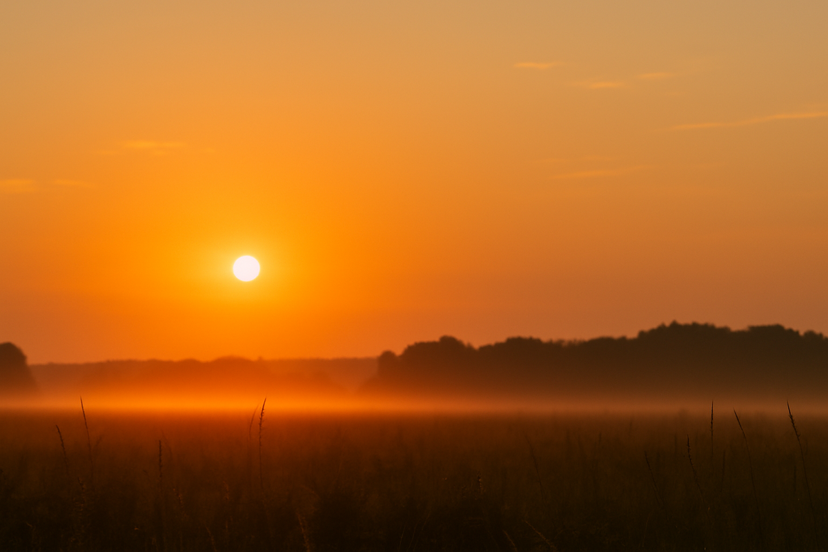 утренние практики, как начать день, мотивация утром, утро новой жизни, настрой на день, личностный рост, как изменить жизнь, саморазвитие, утренние ритуалы
