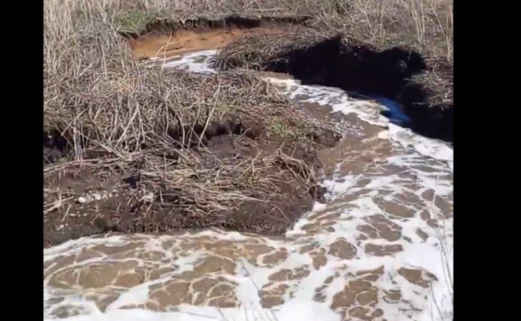Фото:. Скриншот видео от "В КУРСЕ 22 — новости Барнаула и Алтайского края"