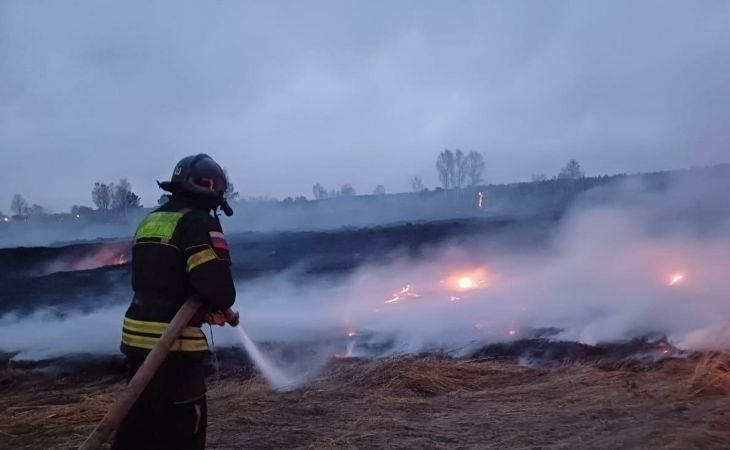 Фото:. Лесные пожары / МЧС по АК