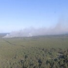  📷«Так просто не бывает» — Глава Минлесхоза усмотрел поджог в крупном пожаре на границе Беларуси с Украиной