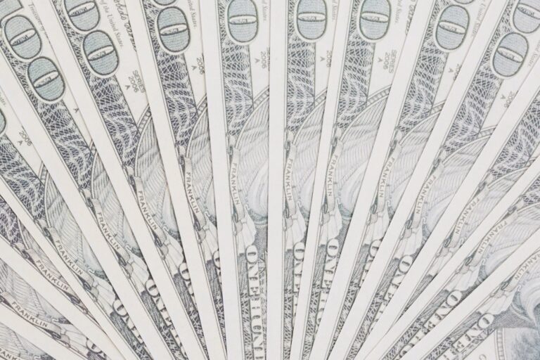    Фото: freepik.com/freepik Ольга Шмырева