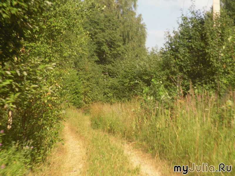 Самая ровная дорога была на полях