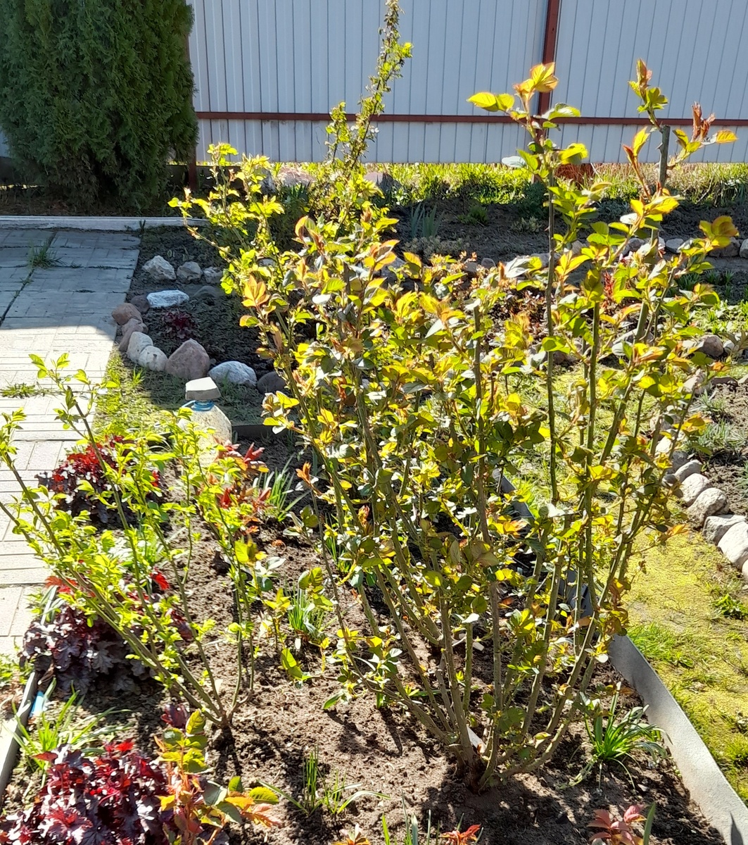 Фото автора 