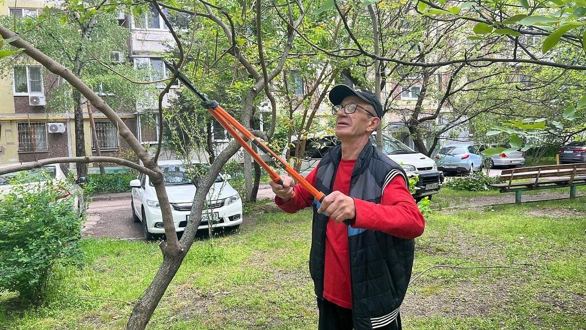    Фото: телеканал «Краснодар»