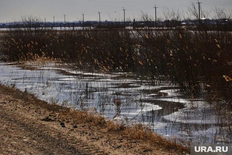 Пик уровня воды в реке Ишим ожидается в ближайшие несколько дней
Фото: Екатерина Сычкова © URA.RU