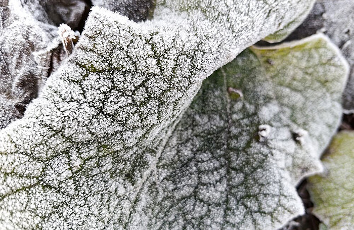    Василий Кузьмичёнок/АГН «Москва»